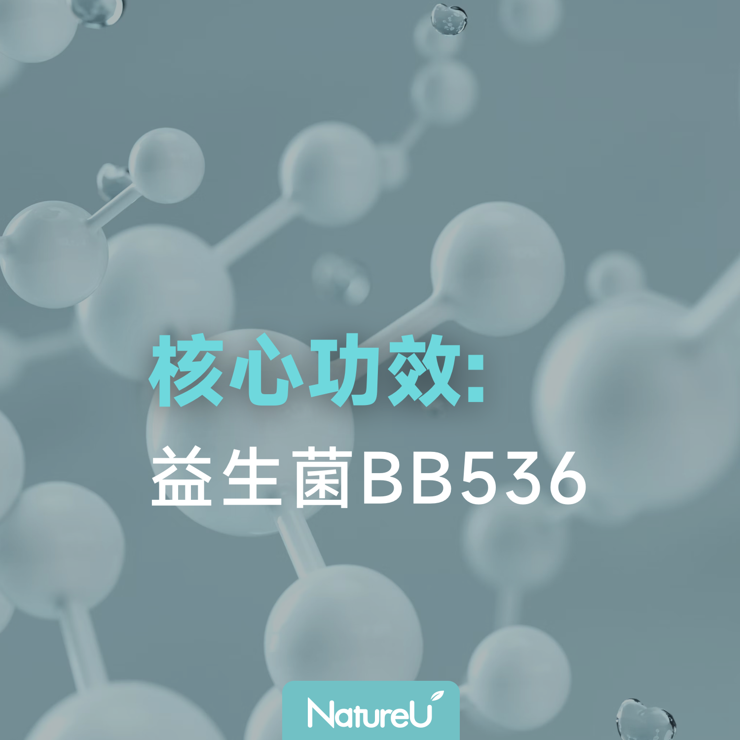 益生菌BB536：提升免疫力，守護全身健康