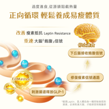 NatureU 燃 FitMaster™ 高分子芒果籽 燒脂飽腹片 Body Burn 30粒/瓶