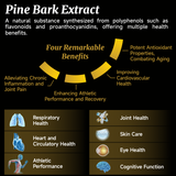 NatureU 高分子PYC+L-瓜氨酸 男士能量片 MojoMax 30粒/瓶