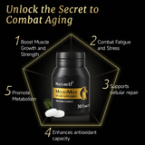 NatureU 高分子PYC+L-瓜氨酸 男士能量片 MojoMax 30粒/瓶